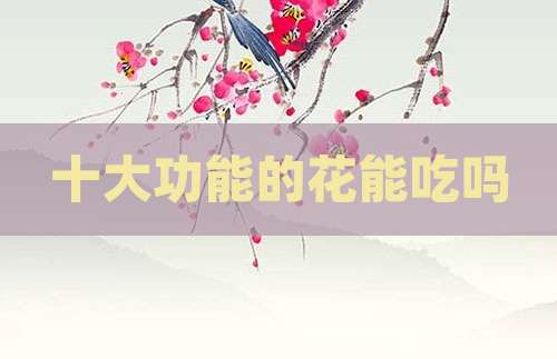 十大功能的花能吃吗