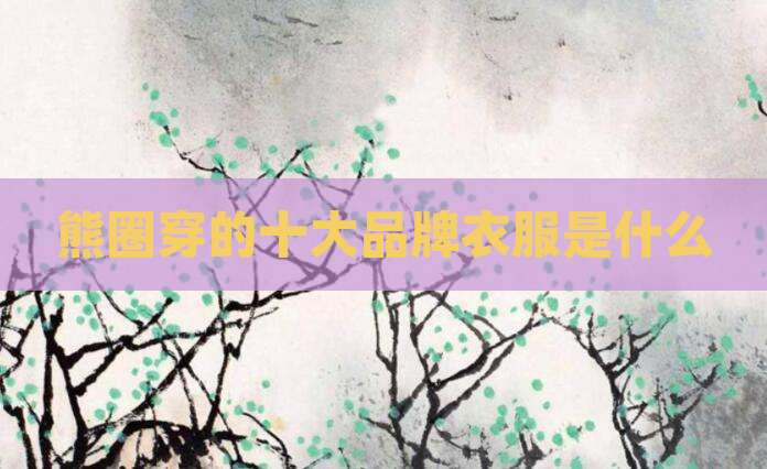 熊圈穿的十大品牌衣服是什么