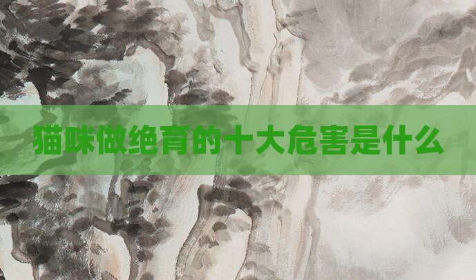 猫咪做绝育的十大危害是什么