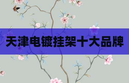 天津电镀挂架十大品牌