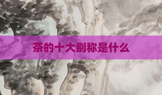 茶的十大别称是什么