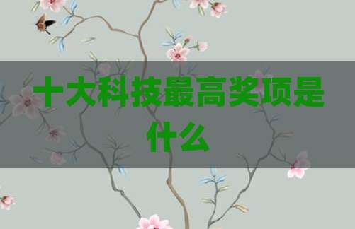 十大科技最高奖项是什么