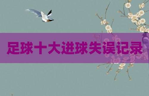 足球十大进球失误记录