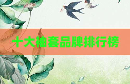 十大袖套品牌排行榜
