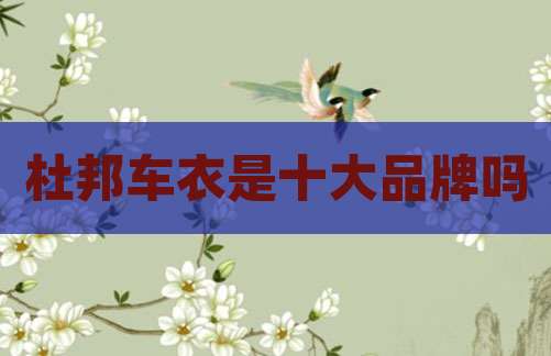杜邦车衣是十大品牌吗