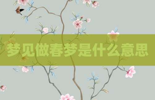 梦见做春梦是什么意思