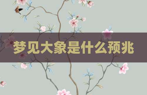 梦见大象是什么预兆