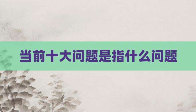 当前十大问题是指什么问题