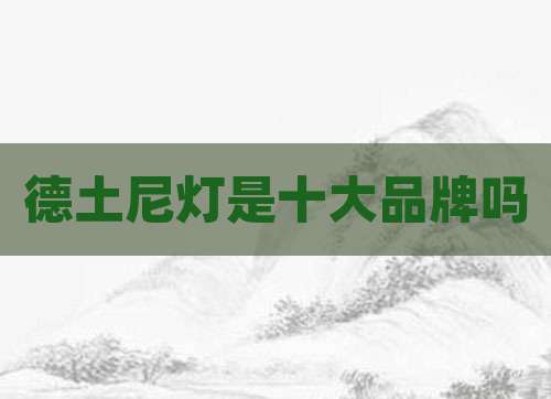 德土尼灯是十大品牌吗