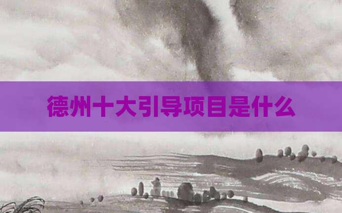 德州十大引导项目是什么