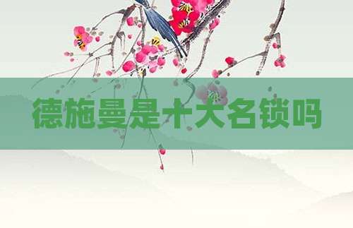 德施曼是十大名锁吗
