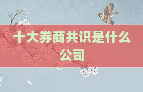十大券商共识是什么公司