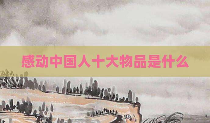 感动中国人十大物品是什么