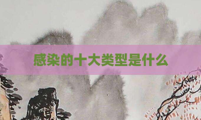 感染的十大类型是什么