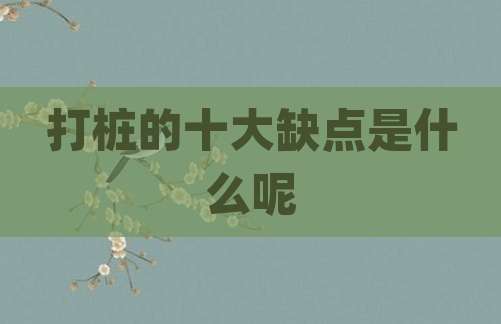打桩的十大缺点是什么呢