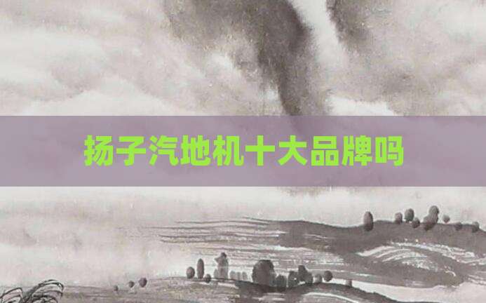 扬子汽地机十大品牌吗