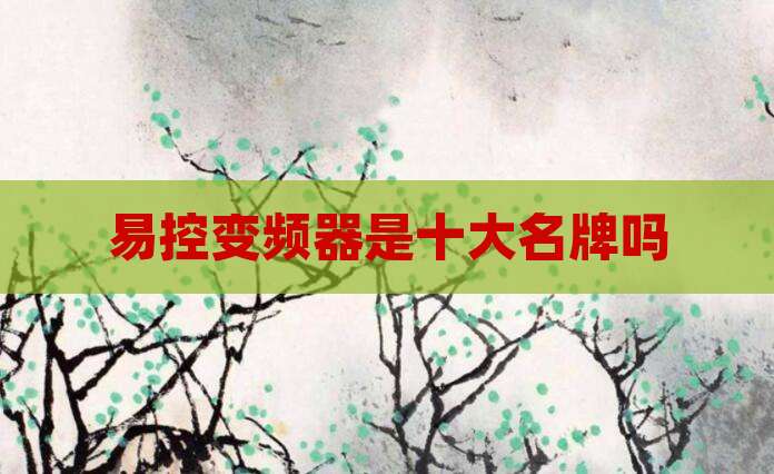 易控变频器是十大名牌吗