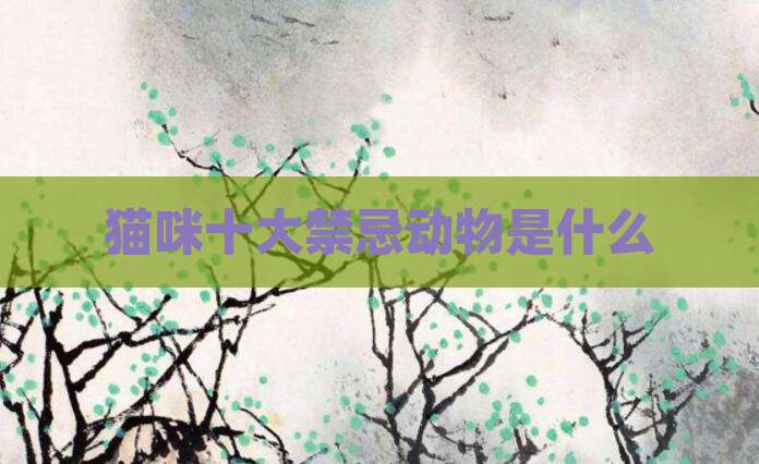 猫咪十大禁忌动物是什么