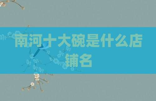 南河十大碗是什么店铺名