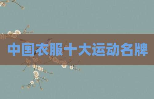 中国衣服十大运动名牌