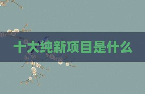 十大纯新项目是什么