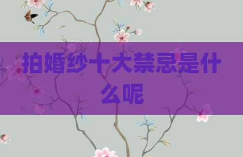 拍婚纱十大禁忌是什么呢