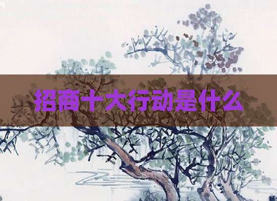 招商十大行动是什么