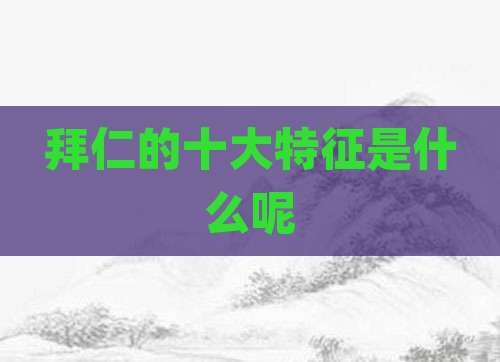拜仁的十大特征是什么呢