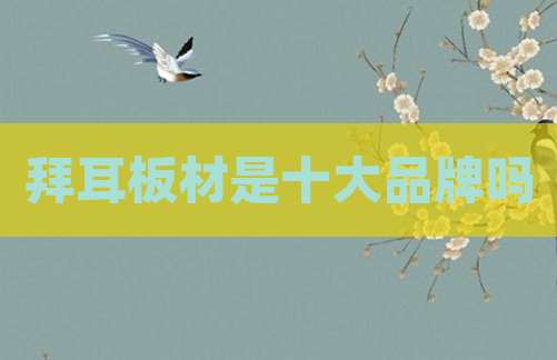 拜耳板材是十大品牌吗