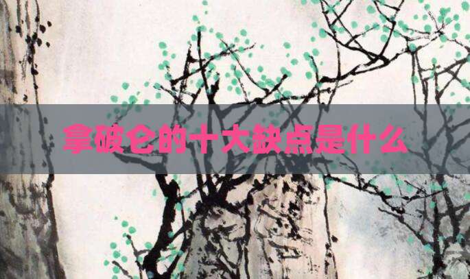 拿破仑的十大缺点是什么
