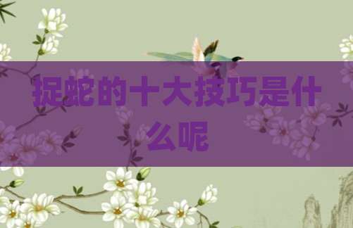 捉蛇的十大技巧是什么呢