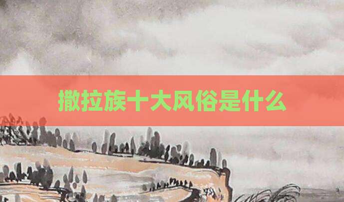 撒拉族十大风俗是什么