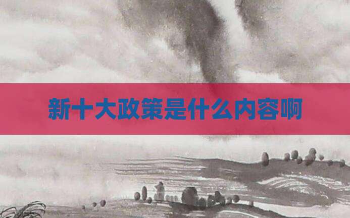 新十大政策是什么内容啊