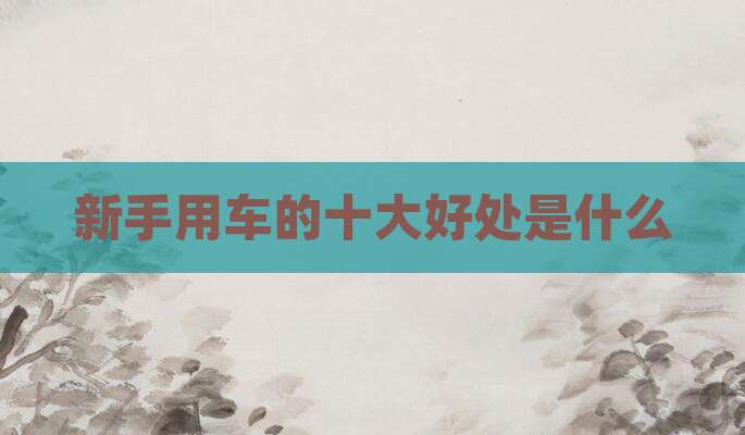 新手用车的十大好处是什么