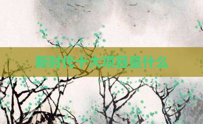 新时代十大项目是什么