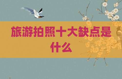 旅游拍照十大缺点是什么