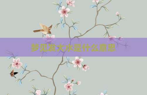 梦见发大水是什么意思