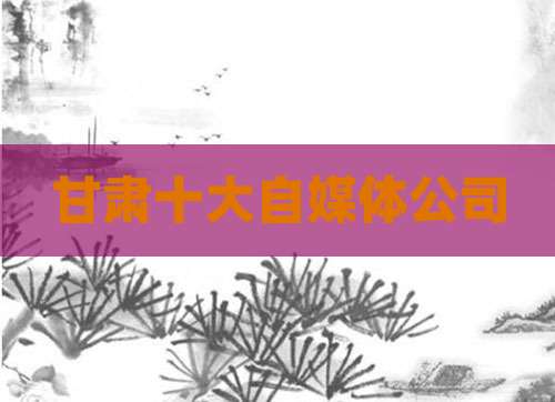 甘肃十大自媒体公司