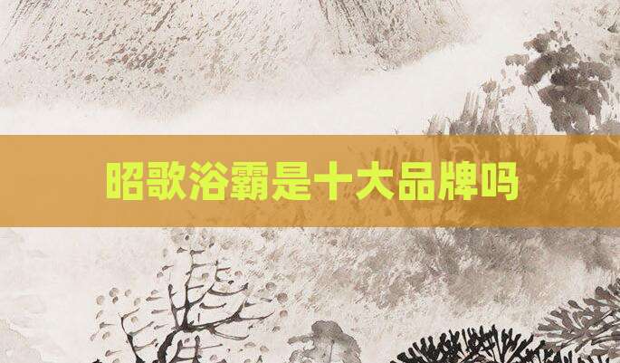 昭歌浴霸是十大品牌吗