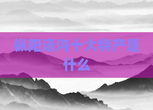枞阳汤沟十大特产是什么