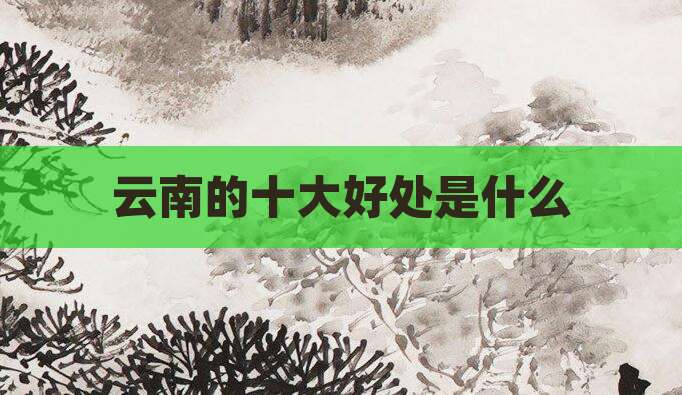 云南的十大好处是什么