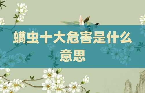 螨虫十大危害是什么意思