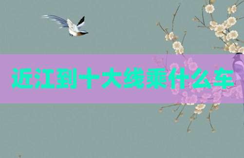 近江到十大线乘什么车
