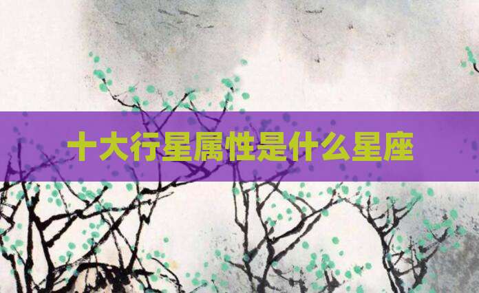 十大行星属性是什么星座