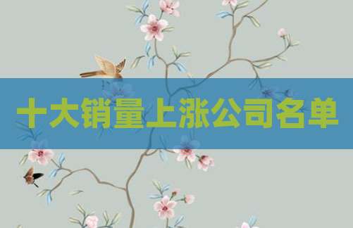 十大销量上涨公司名单
