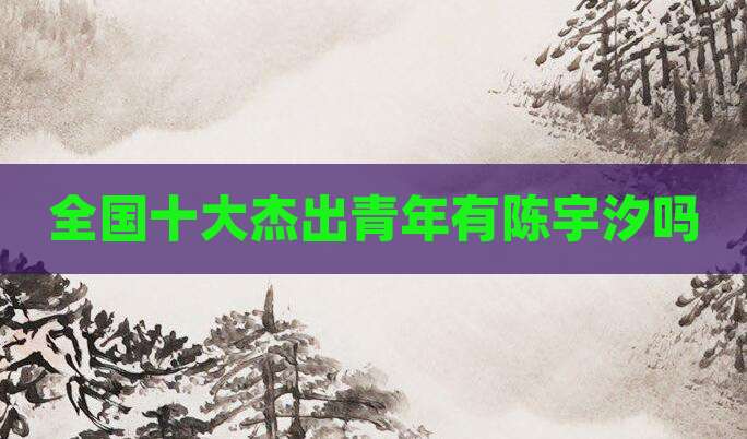 全国十大杰出青年有陈宇汐吗