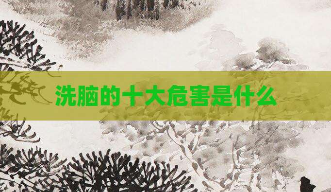 洗脑的十大危害是什么