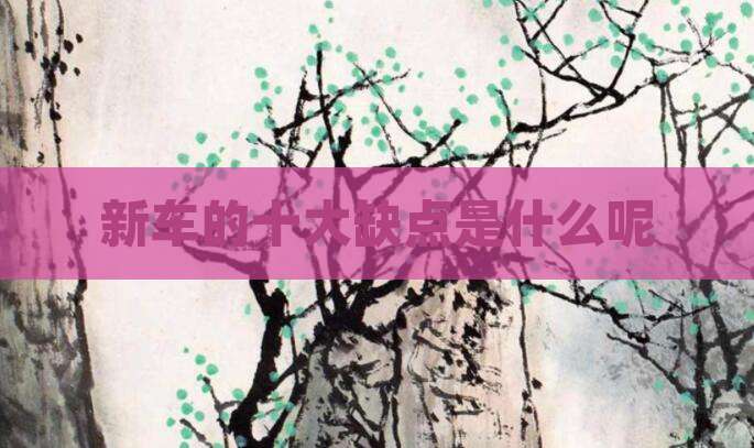 新车的十大缺点是什么呢