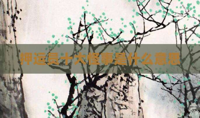押运员十大怪事是什么意思