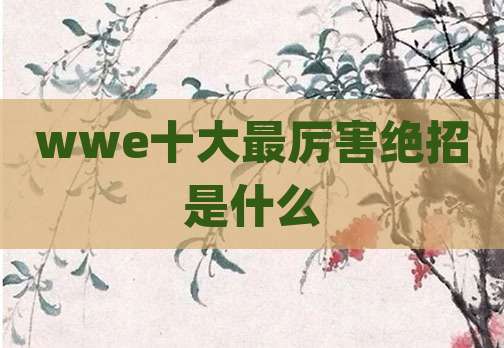 wwe十大最厉害绝招是什么